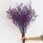 Flowerva  Preserved Limonium (Sea Lavender) Dried Flower Bouquet