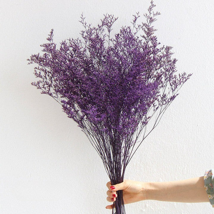Flowerva  Preserved Limonium (Sea Lavender) Dried Flower Bouquet
