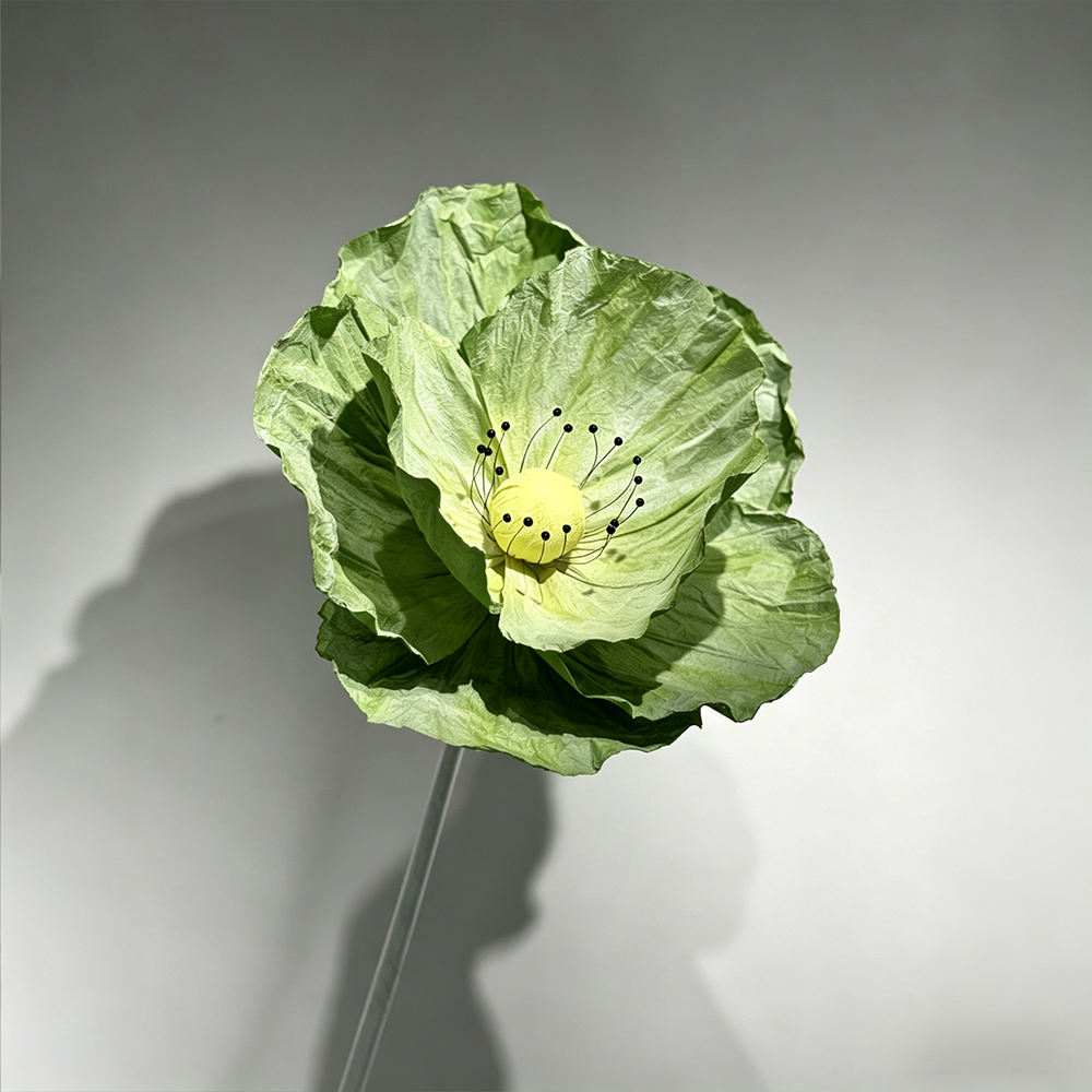 Flowerva Evergreen Poppy Premium Flower