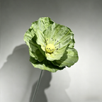 Flowerva Evergreen Poppy Premium Flower
