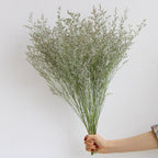 Flowerva  Preserved Limonium (Sea Lavender) Dried Flower Bouquet