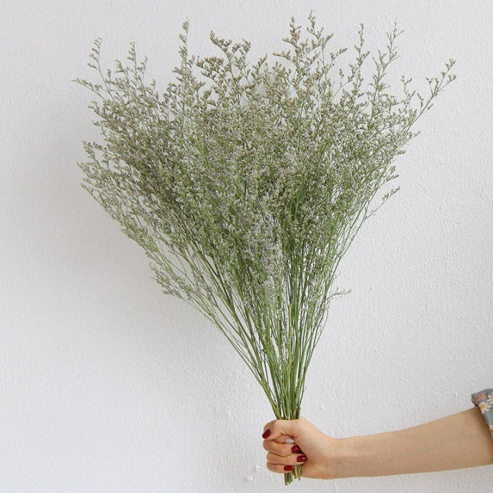 Flowerva  Preserved Limonium (Sea Lavender) Dried Flower Bouquet