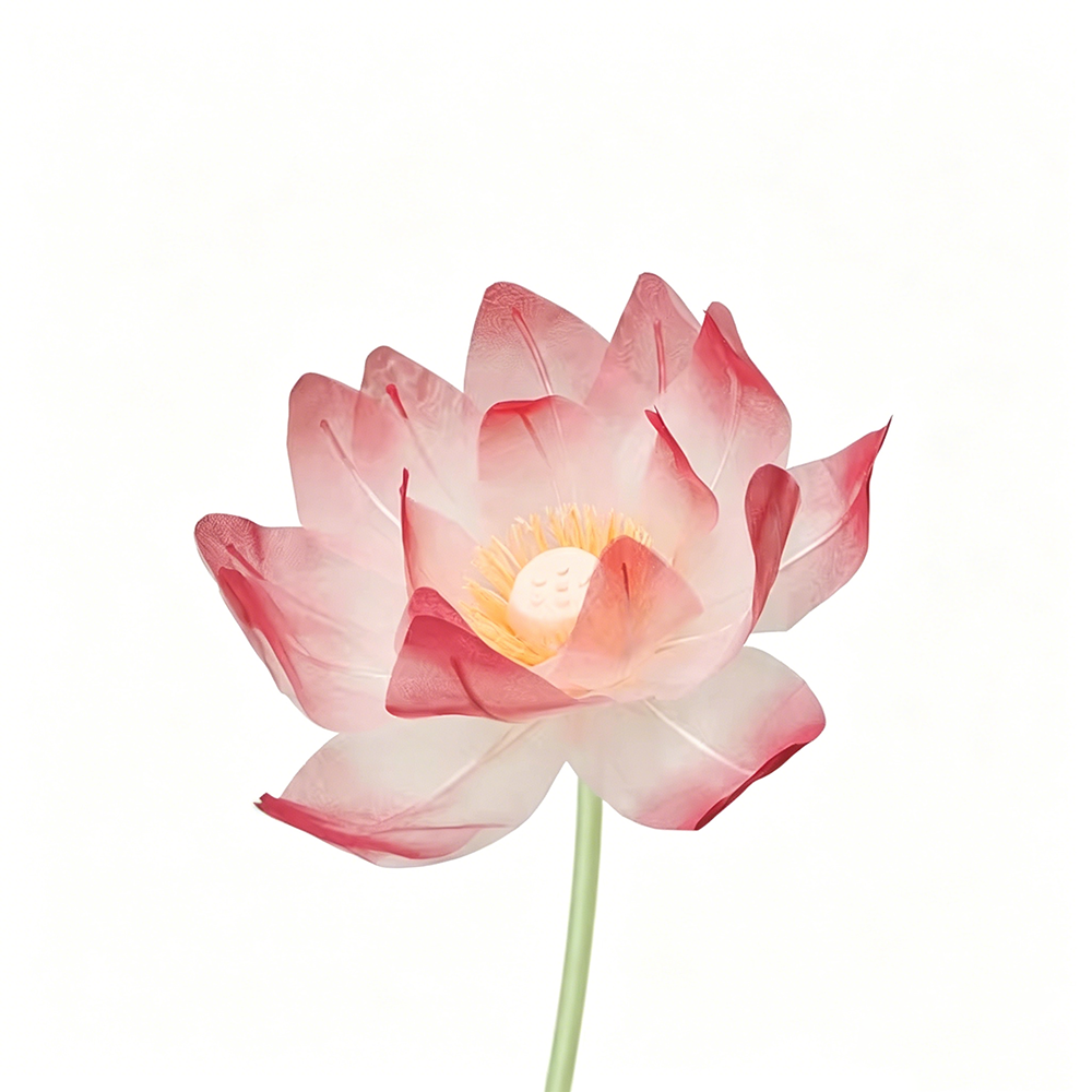 Flowerva Lotus Petal Etherea Premium Decor
