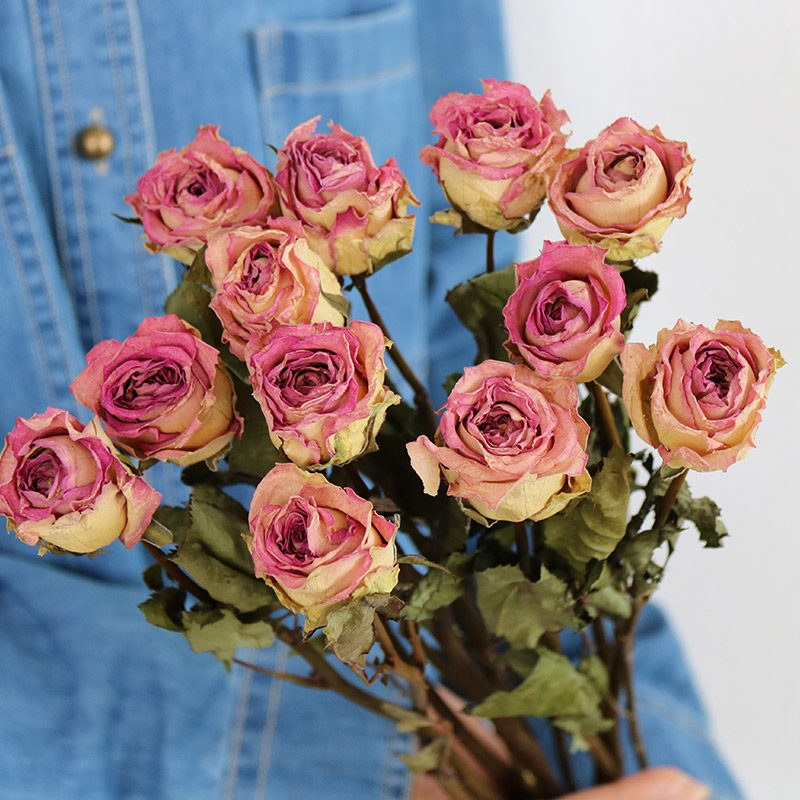 Flowerva Dried Rose Bouquet | Multi-Color Preserved Real Roses