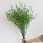 Flowerva  Preserved Limonium (Sea Lavender) Dried Flower Bouquet