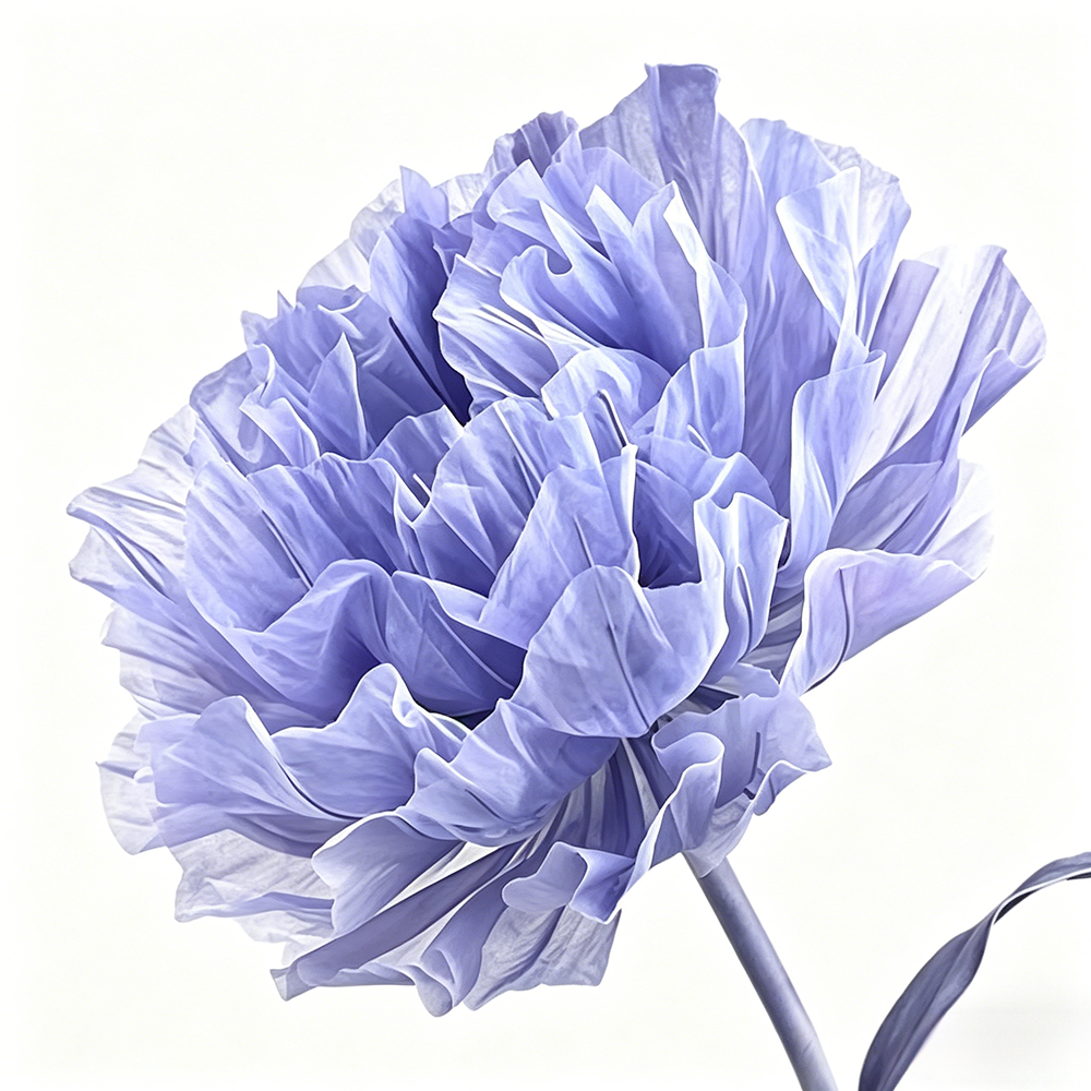 Flowerva Violet Haze Premium Flower