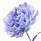 Flowerva Violet Haze Premium Flower