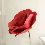 Flowerva Timeless Red Rose Premium Flower