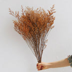 Flowerva  Preserved Limonium (Sea Lavender) Dried Flower Bouquet