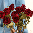 Flowerva Dried Rose Bouquet | Multi-Color Preserved Real Roses