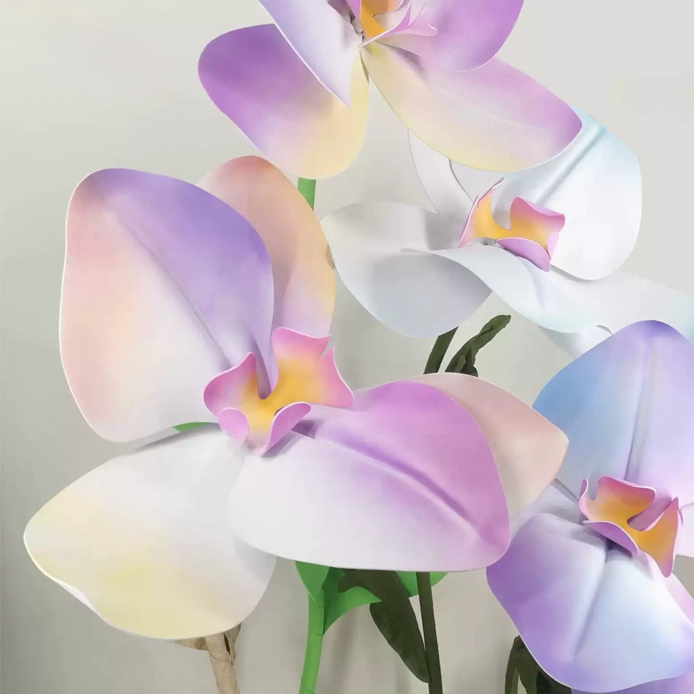 Flowerva Pastel Gradient Cadence Premium Decor