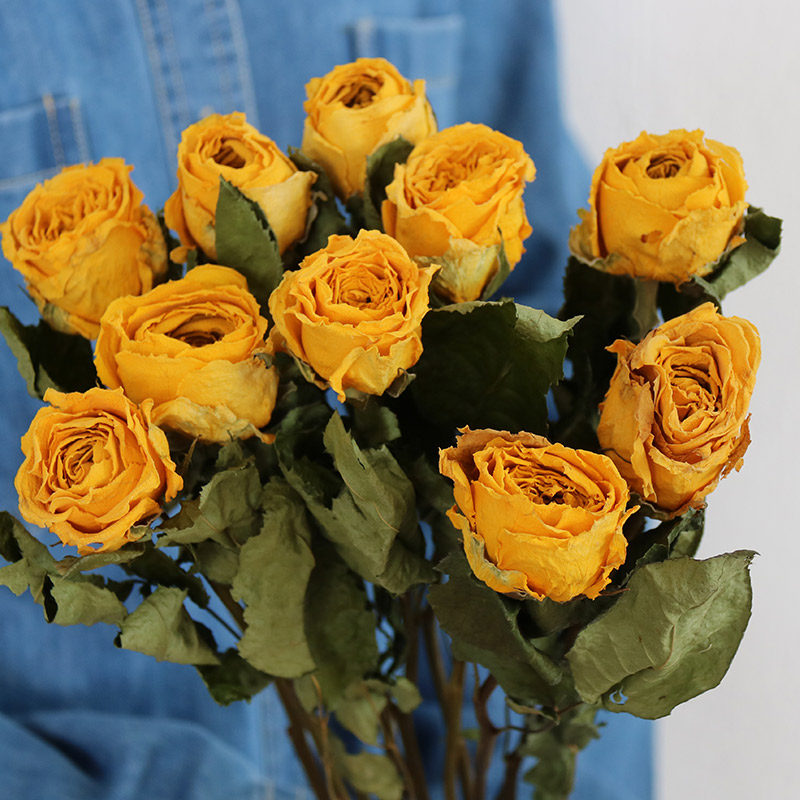 Flowerva Dried Rose Bouquet | Multi-Color Preserved Real Roses