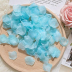 Flowerva  Proposal Scene Decor & Wedding Confetti —Tiffany Blue