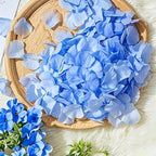 Flowerva  Proposal Scene Decor & Wedding Confetti —Blue