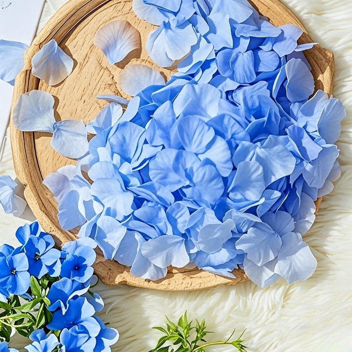 Flowerva  Proposal Scene Decor & Wedding Confetti —Blue