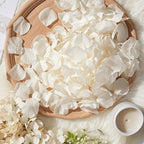 Flowerva  Proposal Scene Decor & Wedding Confetti —Milky white