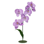 Flowerva Lavender Orchid Contour Set Premium Decor