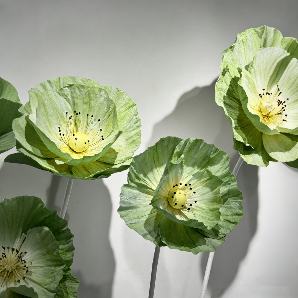 Flowerva Evergreen Poppy Premium Flower