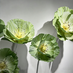Flowerva Evergreen Poppy Premium Flower