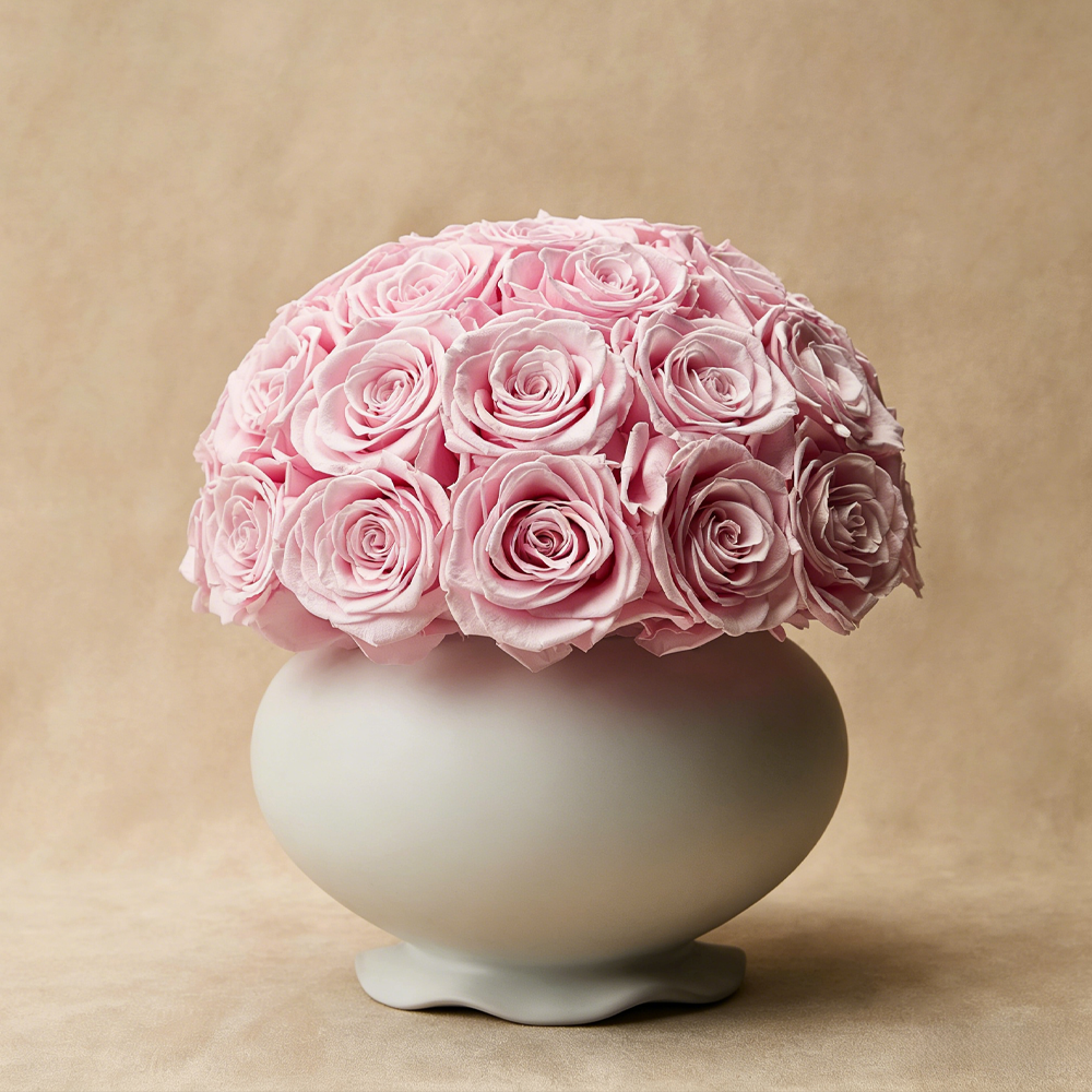 Premium Baby Pink Preserved Rose Vase Gift Box
