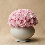 Premium Baby Pink Preserved Rose Vase Gift Box