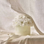 Premium Eternal Rose with Luxury Jade Vase Gift Box