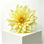 Flowerva Cream Dahlia Bloom Premium Decor