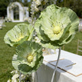 Flowerva Evergreen Poppy Premium Flower