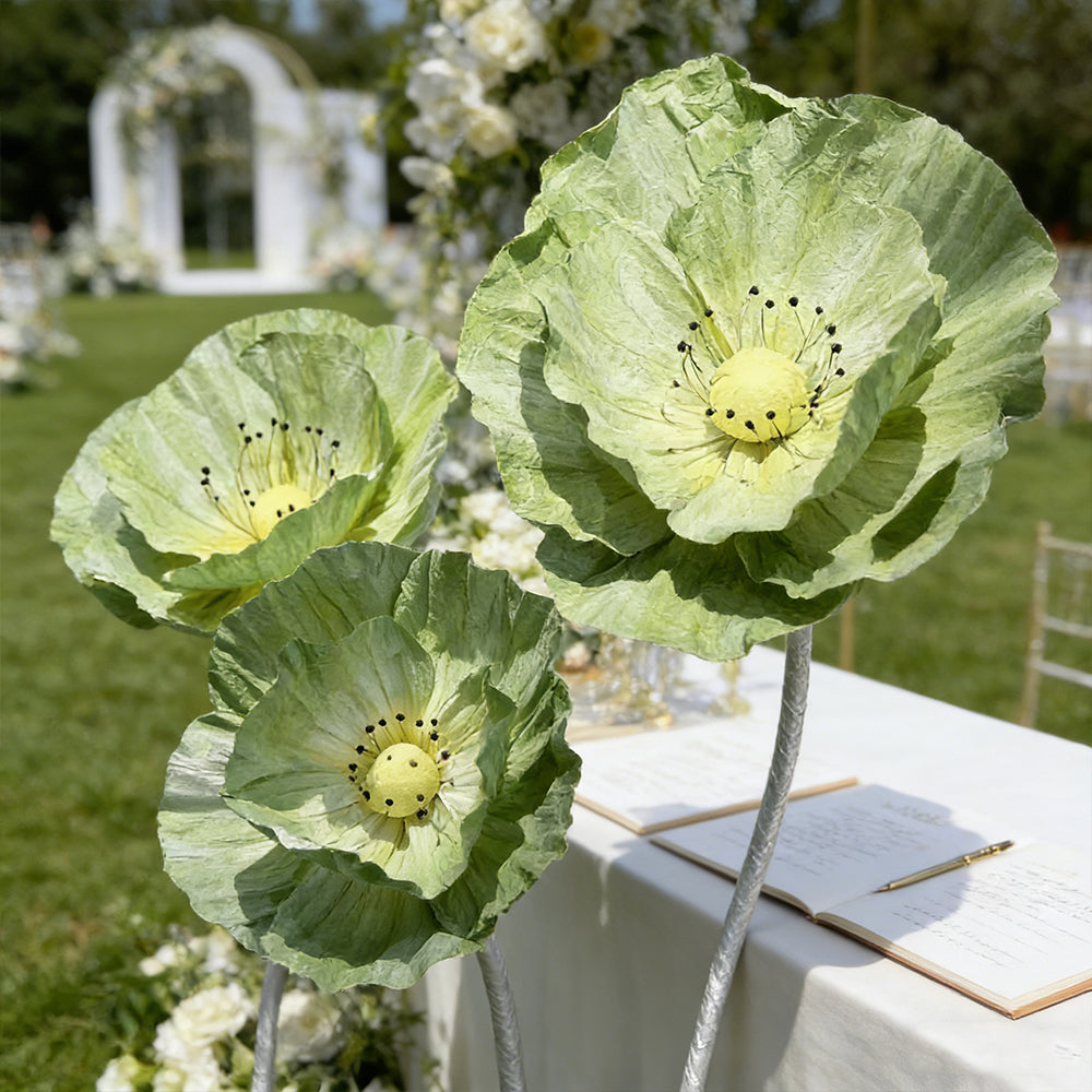 Flowerva Evergreen Poppy Premium Flower