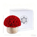 Premium Preserved Roses Crimson Gift Box
