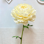 Bomng Imperial Cream Paper Peony Premium Flower