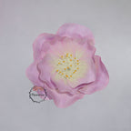 Flowerva EVA Gradient Pink Peony Premium Flower