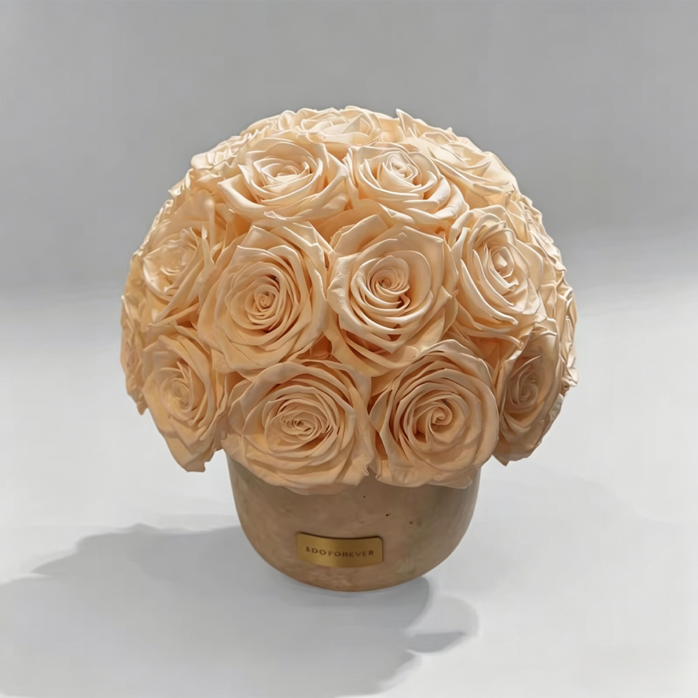Premium Preserved Roses Light Champagne Gift Box