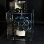 Premium Eternal Rose Navy Blue Bucket Valentine's Gift Box