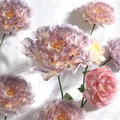 Flowerva Pink Purple Peony Luminara Glow Premium Decor