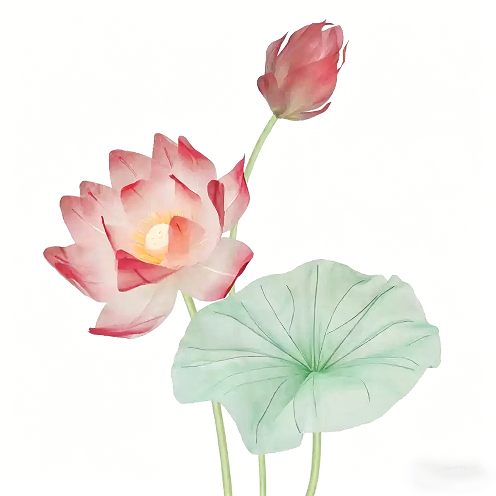 Flowerva Lotus Petal Etherea Premium Decor