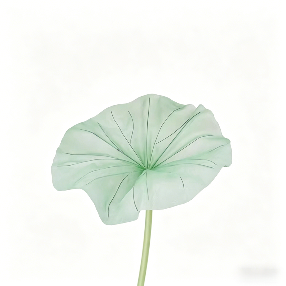 Flowerva Lotus Petal Etherea Premium Decor