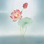Flowerva Lotus Petal Etherea Premium Decor