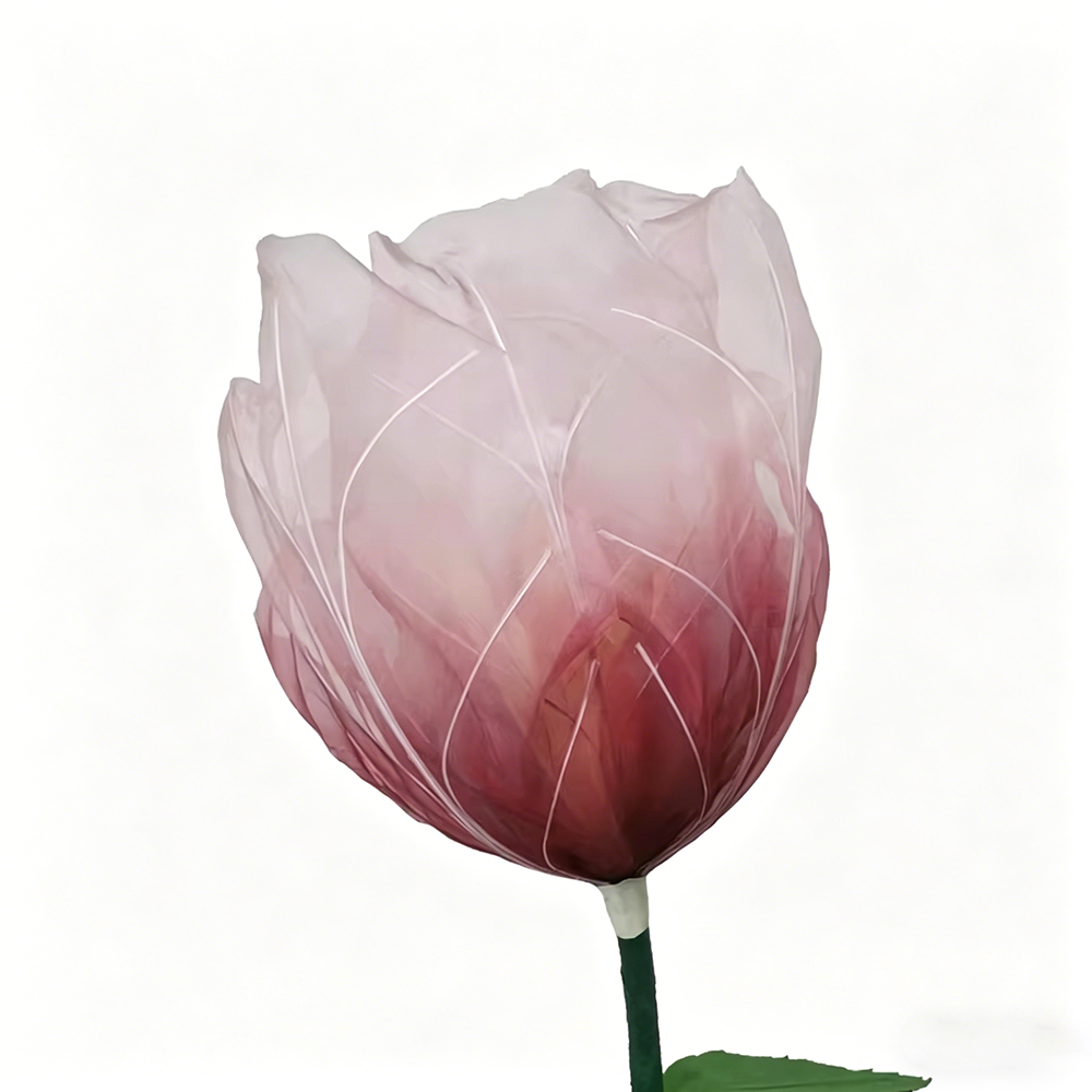 Flowerva Tulip Veil Etherea Premium Decor—Type A
