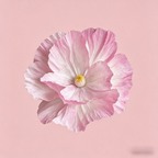 Flowerva Luxe Couture Ruffled Poppy Pink Art Installation