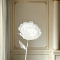 Flowerva White Peony Ambrosia Palette Premium Decor