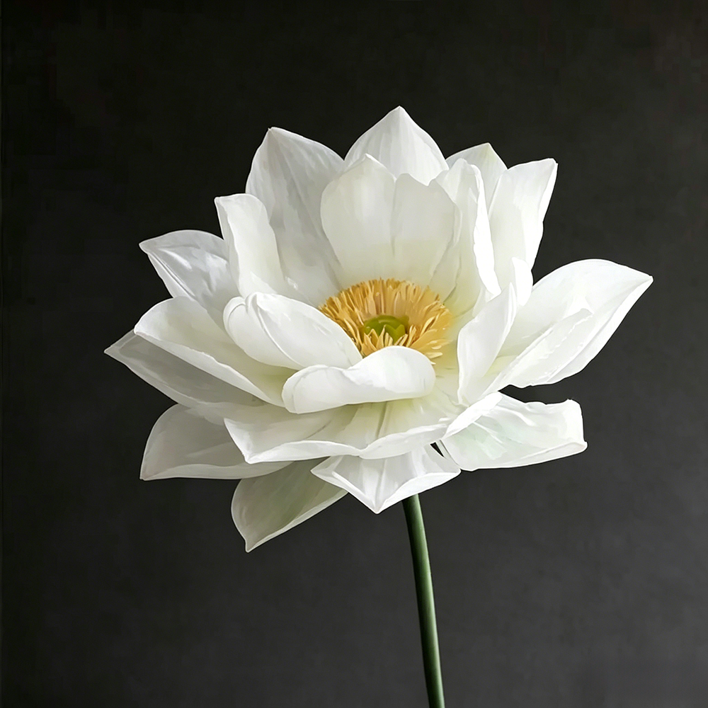 Flowerva Lotus Zen Grace Premium Decor
