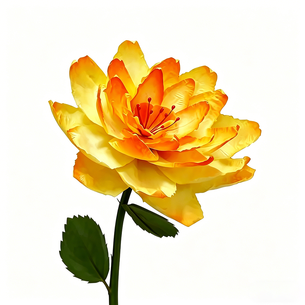 Flowerva Amber Calla Lily Premium Flower