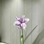 Flowerva Ethereal Purple Lily Premium Flower