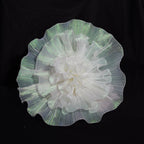 Flowerva Mint Iridescent Sheer Premium Flower