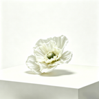 Flowerva Sheer Poppy Whisper Premium Decor