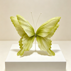 Acento artístico de mariposa etérea Flowerva