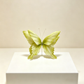 Acento artístico Flutter verde etéreo Flowerva