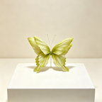 Acento artístico de mariposa etérea Flowerva