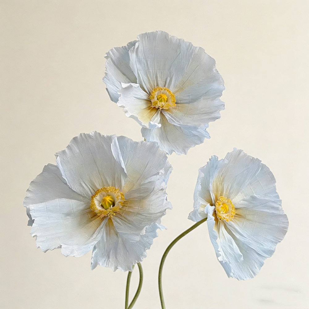 Flowerva Ethereal Crepe Paper Poppy Art Installation